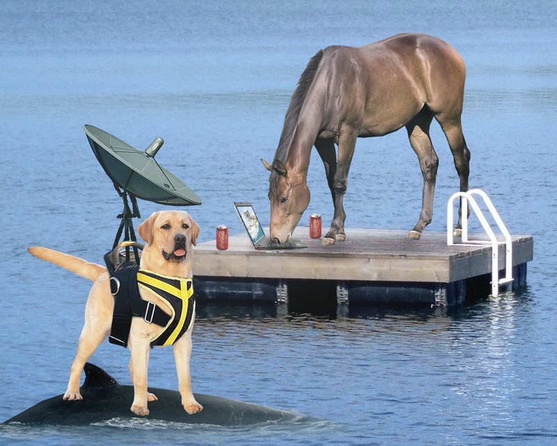 Illustration for article titled Scientists Extract Gold From Horse's Legs—And Other Hilariously Absurd Stories